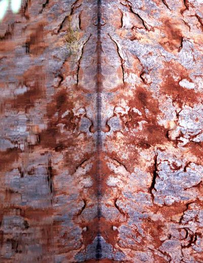 Alice Guilbaud – Australie Uluru 2008